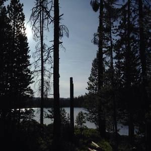 Meet your Posher, Nathan